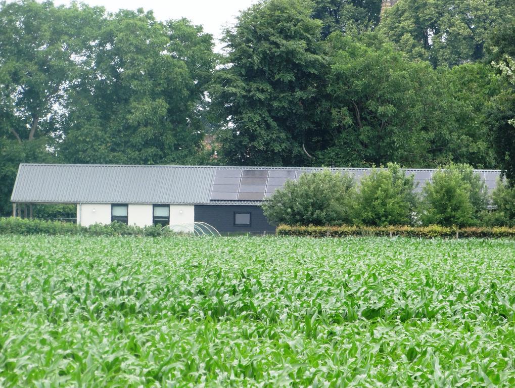 Liefkeshoek Villa Cuijk Bagian luar foto