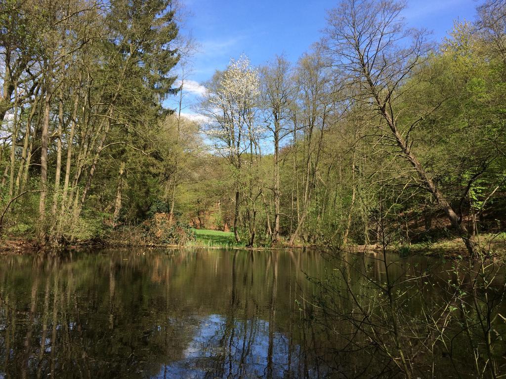 Liefkeshoek Villa Cuijk Bagian luar foto